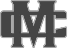 Icon 1
